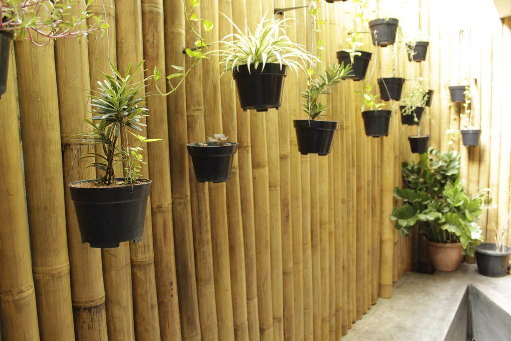 Teduh Hostel Kota Tua Jakarta Eksteriør billede